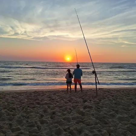 Дом отдыха Chalet Lacanau Лакано