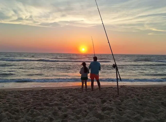 Дом отдыха Chalet Lacanau Лакано